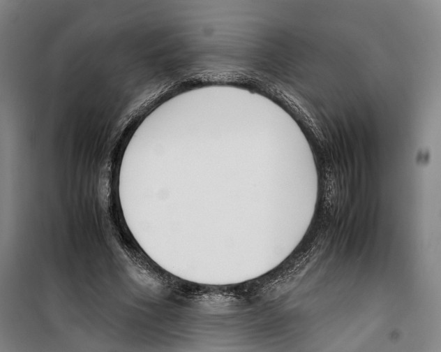 X0000099400586200806051209