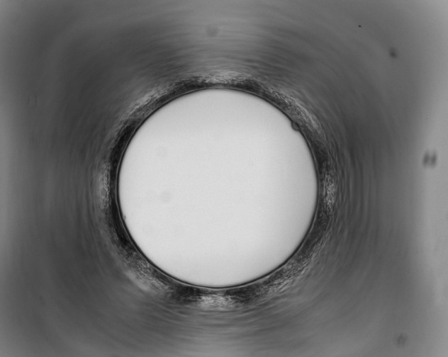 X0000099400591200806051209
