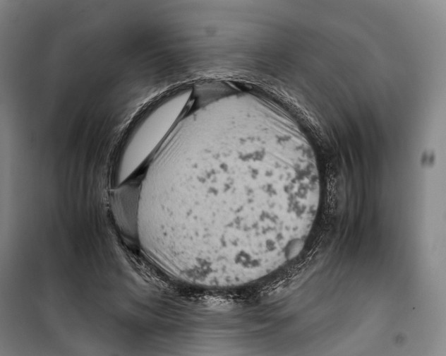 X0000099400592200806051209