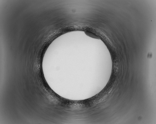 X0000099400593200806051209
