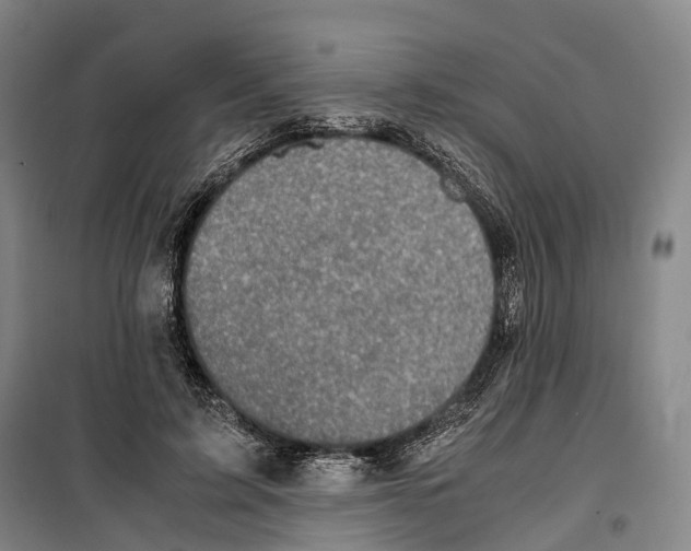 X0000099400595200806051209