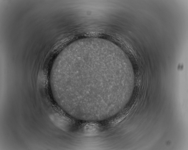 X0000099400599200806051209