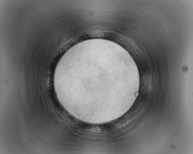 X0000099400600200806051209