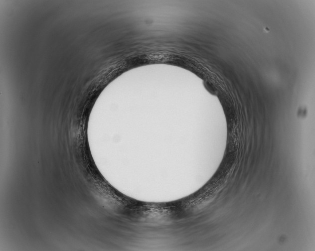 X0000099400601200806051209