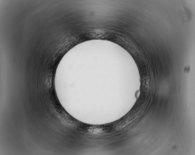 X0000099400602200806051209