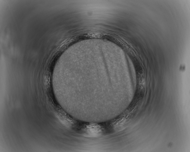 X0000099400603200806051209