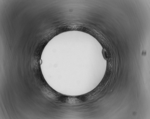X0000099400605200806051209