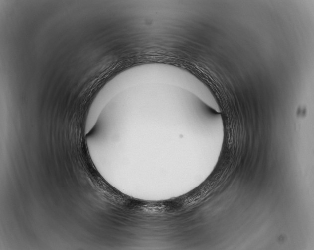 X0000099400606200806051209
