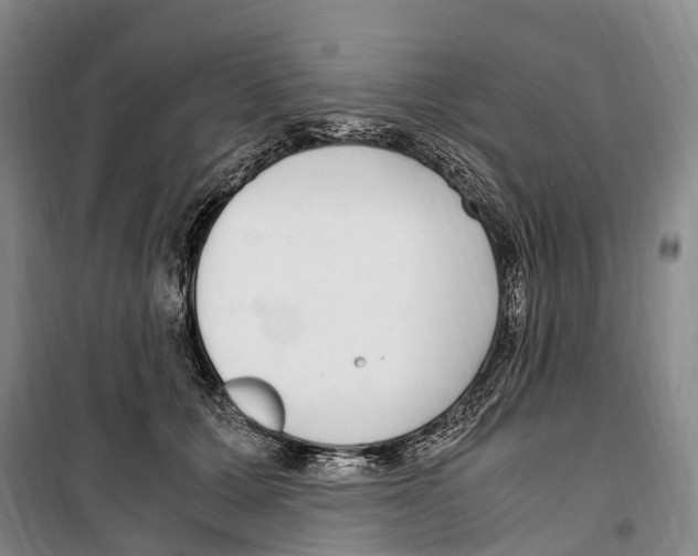 X0000099400607200806051209