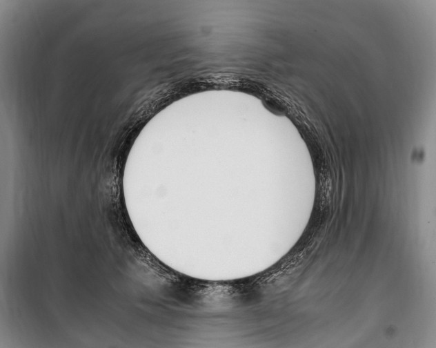 X0000099400609200806051209