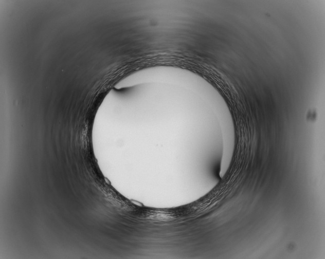 X0000099400610200806051209