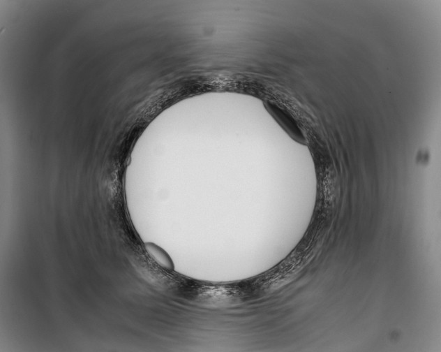 X0000099400611200806051209