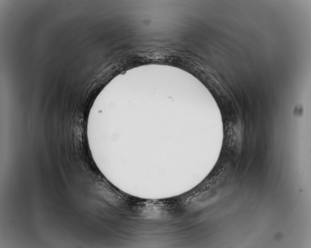 X0000099400612200806051209
