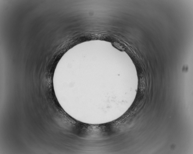 X0000099400613200806051209