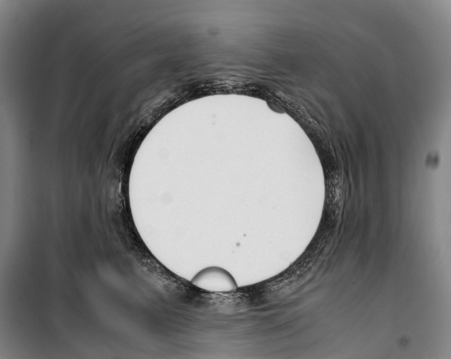 X0000099400615200806051209
