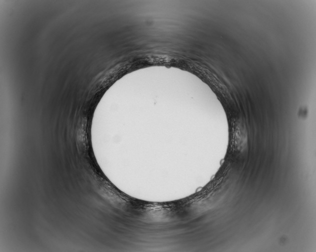 X0000099400616200806051209