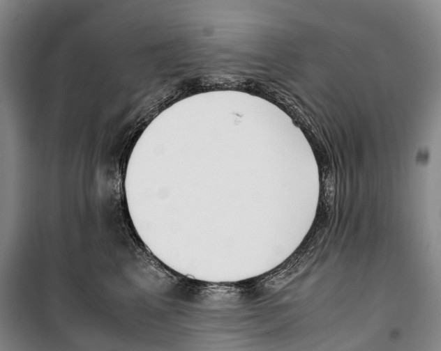 X0000099400617200806051209