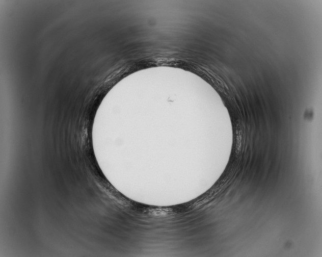 X0000099400618200806051209