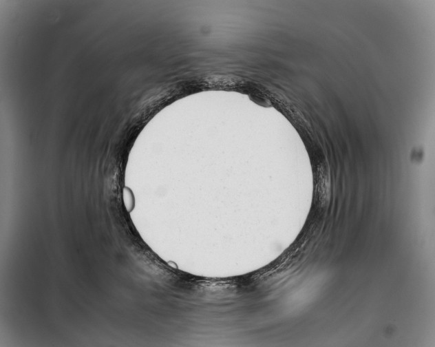 X0000099400619200806051209