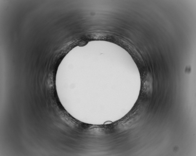 X0000099400620200806051209