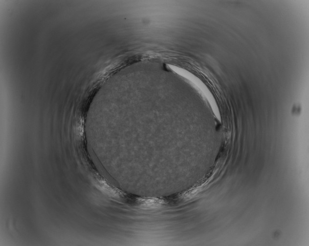X0000099400621200806051209