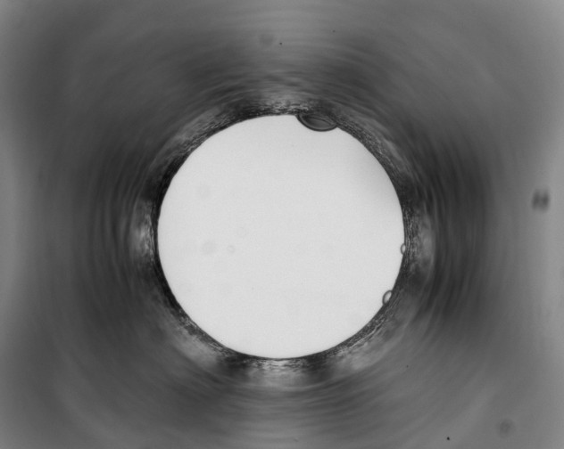 X0000099400622200806051209