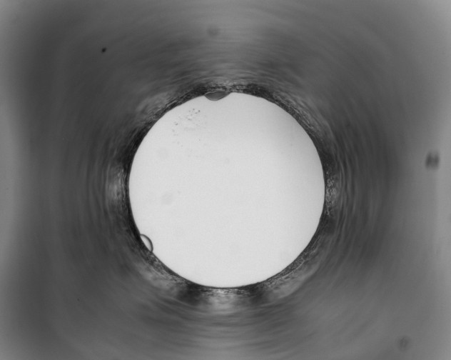 X0000099400623200806051209