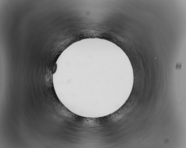 X0000099400624200806051209