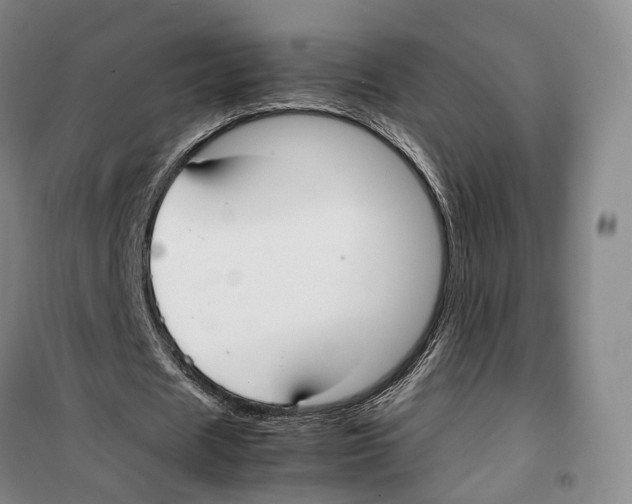 X0000099400625200806051208