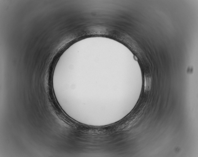 X0000099400627200806051208