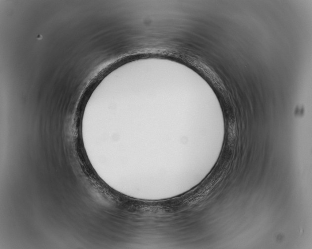 X0000099400628200806051208