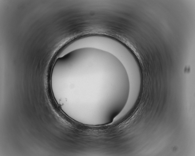 X0000099400629200806051208