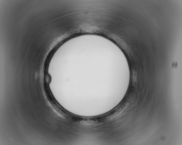 X0000099400630200806051208