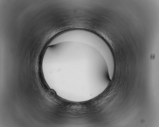 X0000099400631200806051208
