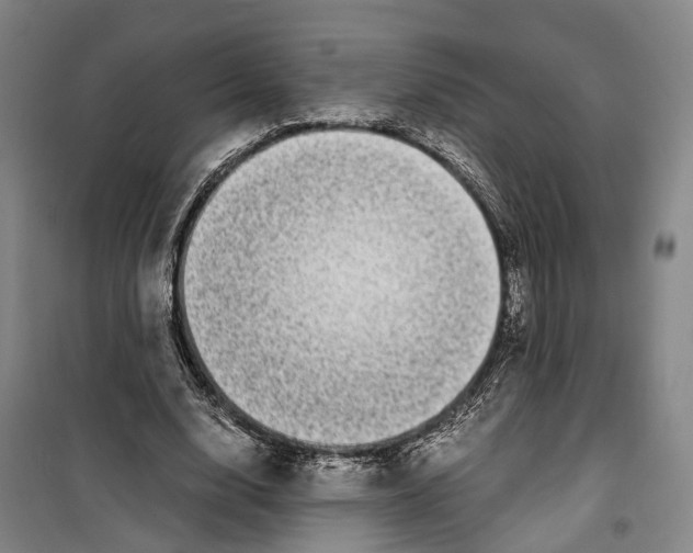 X0000099400632200806051208