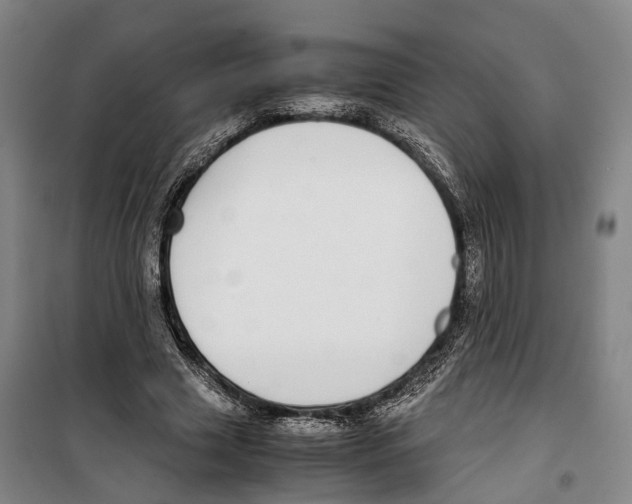 X0000099400633200806051208