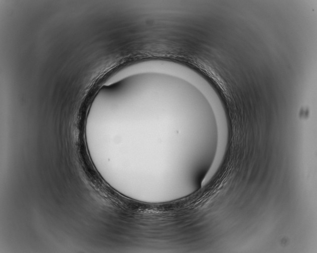X0000099400635200806051208
