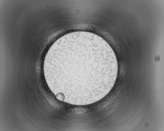 X0000099400636200806051208