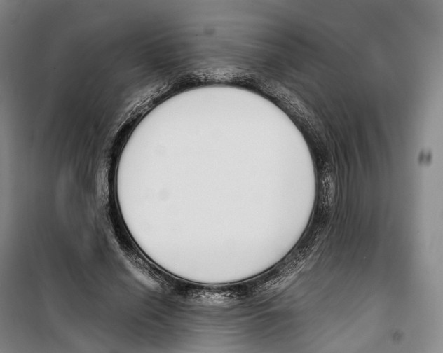 X0000099400638200806051208