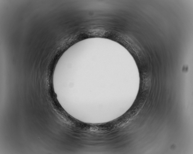 X0000099400641200806051208