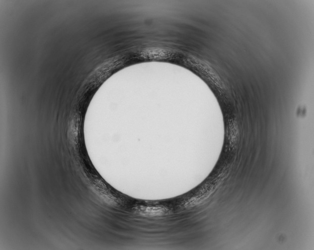X0000099400645200806051208