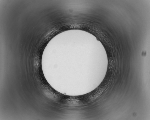 X0000099400648200806051208