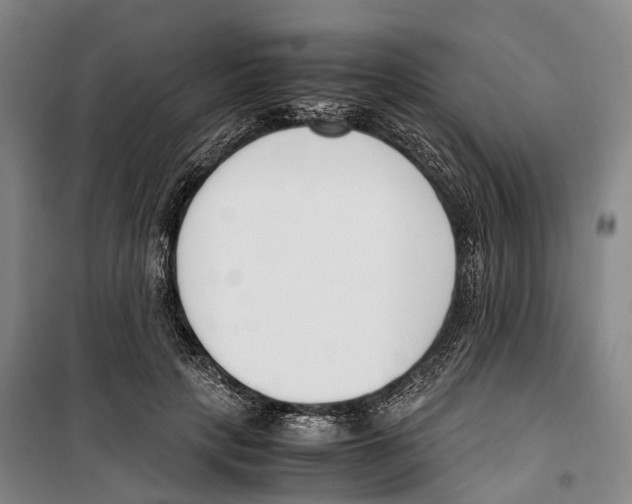 X0000099400649200806051209