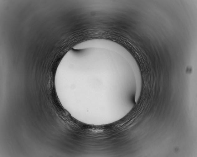 X0000099400651200806051209