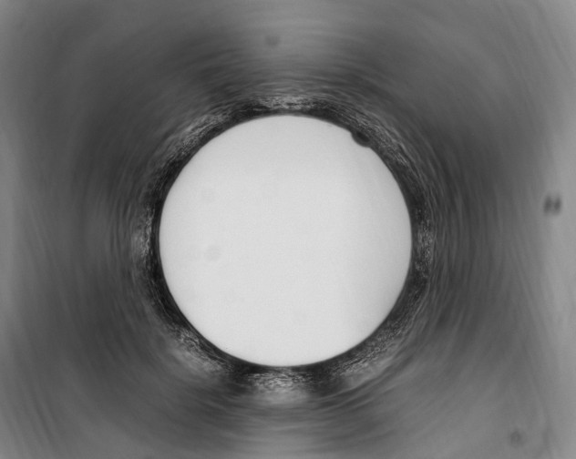 X0000099400652200806051209