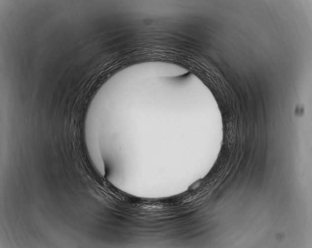 X0000099400653200806051209