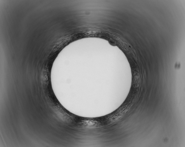 X0000099400654200806051209