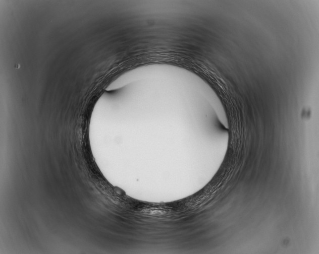 X0000099400655200806051209