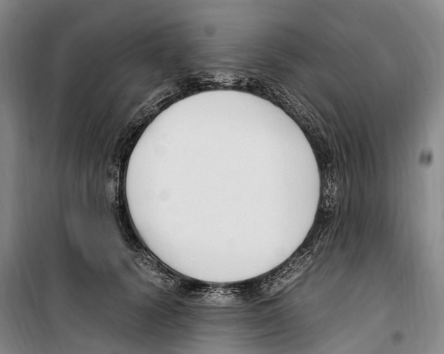 X0000099400656200806051209