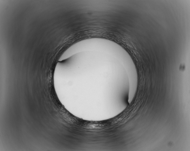 X0000099400657200806051209